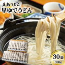 25位! 口コミ数「0件」評価「0」【大容量！早い茹で上がり♪】早ゆでうどん 300g×30袋 五島うどん 乾麺 麺 保存食 業務用 大容量 【中本製麺】 [RAO009]