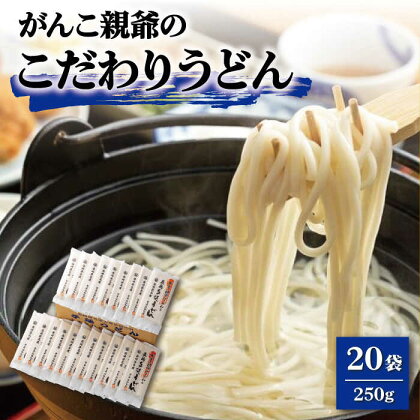 【大容量！強いコシ！】がんこ親爺のこだわりうどん 250g×20袋 五島うどん うどん 乾麺 麺 保存食 業務用 大容量 【中本製麺】 [RAO011]