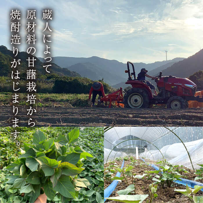 【ふるさと納税】【上五島産の芋で作る本格芋焼酎】五島灘紅さつま・五島灘白麹・五島灘黒麹・明治之芋五島灘 4本セット 各1800ml×1本【五島灘酒造】 [RAW007]