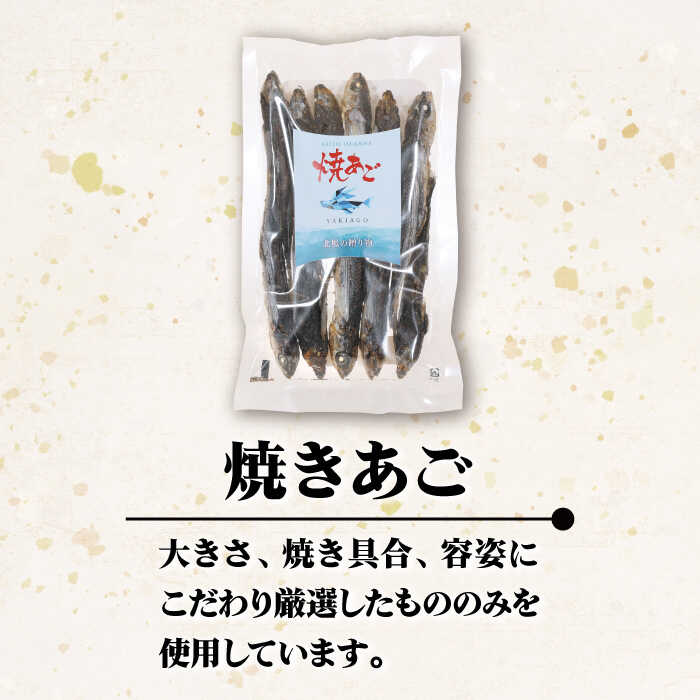 【ふるさと納税】【上五島の伝統的な味をご家庭で】五島列島産 厳選 焼きあご 100g×6袋【新魚目町漁業協同組合】 [RBC002]