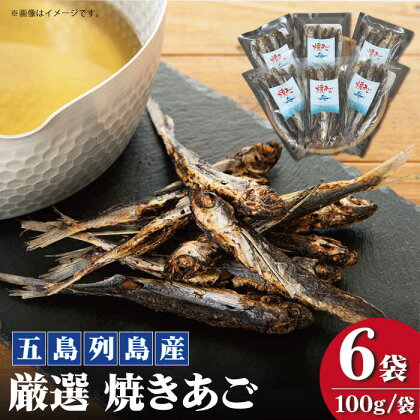 【上五島の伝統的な味をご家庭で】五島列島産 厳選 焼きあご 100g×6袋【新魚目町漁業協同組合】 [RBC002]