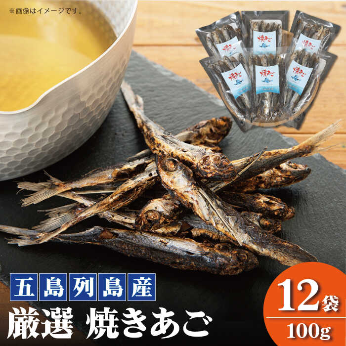 【ふるさと納税】【五島列島産】 厳選 焼きあご 100g×12袋【新魚目町漁業協同組合】 [RBC004]