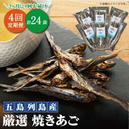 【ふるさと納税】【年4回定期便】3ヶ月に1回お届け！ 厳選 焼きあご 100g×6袋【新魚目町漁業協同組合】 [RBC006]