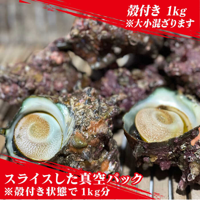 【ふるさと納税】【その日に獲れたものをその日に発送！】 鮮度抜群 新上五島町産 活サザエ 殻付き1kg+殻付き1kg分のスライス【ひまわり】 [RBK002]