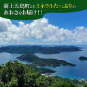 【ふるさと納税】冷凍 生あおさ 50g×30袋 計1.5kg【上五島町漁業協同組合】 [RBN009] 3