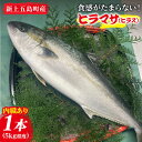 14位! 口コミ数「3件」評価「4.67」【コリコリ食感がたまらない！】 新上五島町産 養殖 ヒラマサ （ヒラス） 1本【カミティバリュー】 [RBP005]