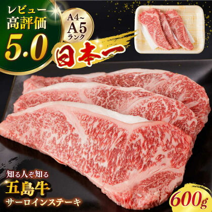 【幻の和牛！やわらかジューシー！】 五島牛 サーロイン ステーキ 約200g×3枚 3人前 肉 牛肉 牛 和牛 バーベキュー ステーキ 【カミティバリュー】 [RBP008]