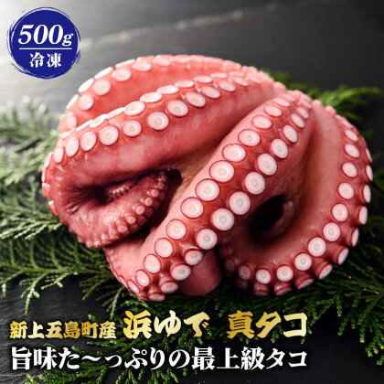 【旨味た～っぷりの最上級タコ】 五島 浜茹で 真タコ 冷凍 500g【カミティバリュー】 [RBP017]