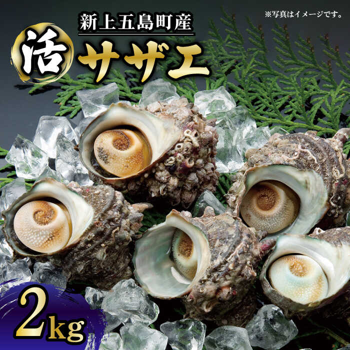 【ふるさと納税】【コリコリ食感と濃厚な旨味！】 新上五島町産 新鮮 活 サザエ 2kg 【カミティバリュ...