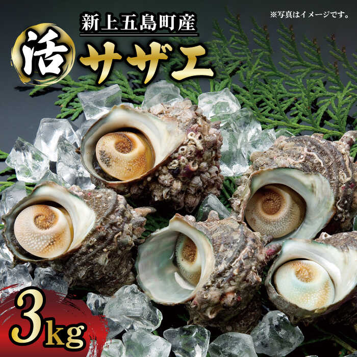 【ふるさと納税】【コリコリ食感と濃厚な旨味！】 新上五島町産 新鮮 活サザエ 3kg【カミティバリュー】 [RBP020]