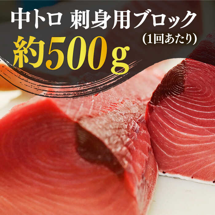 【ふるさと納税】【全12回定期便】【ながさき水産業大賞受賞！！】 五島列島産 養殖 生本かみまぐろ 中トロ ブロック 500g【カミティバリュー】 [RBP066]