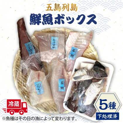 【下処理済】【冷蔵】 五島列島 鮮魚ボックス 5種 【ShiningFoods】 [RBR001]