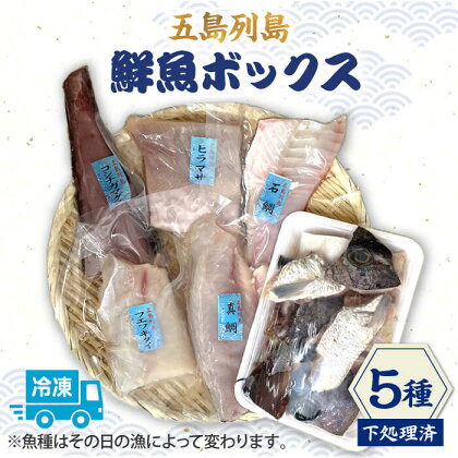 【下処理済】【冷凍】 五島列島 鮮魚ボックス 5種 【ShiningFoods】 [RBR002]