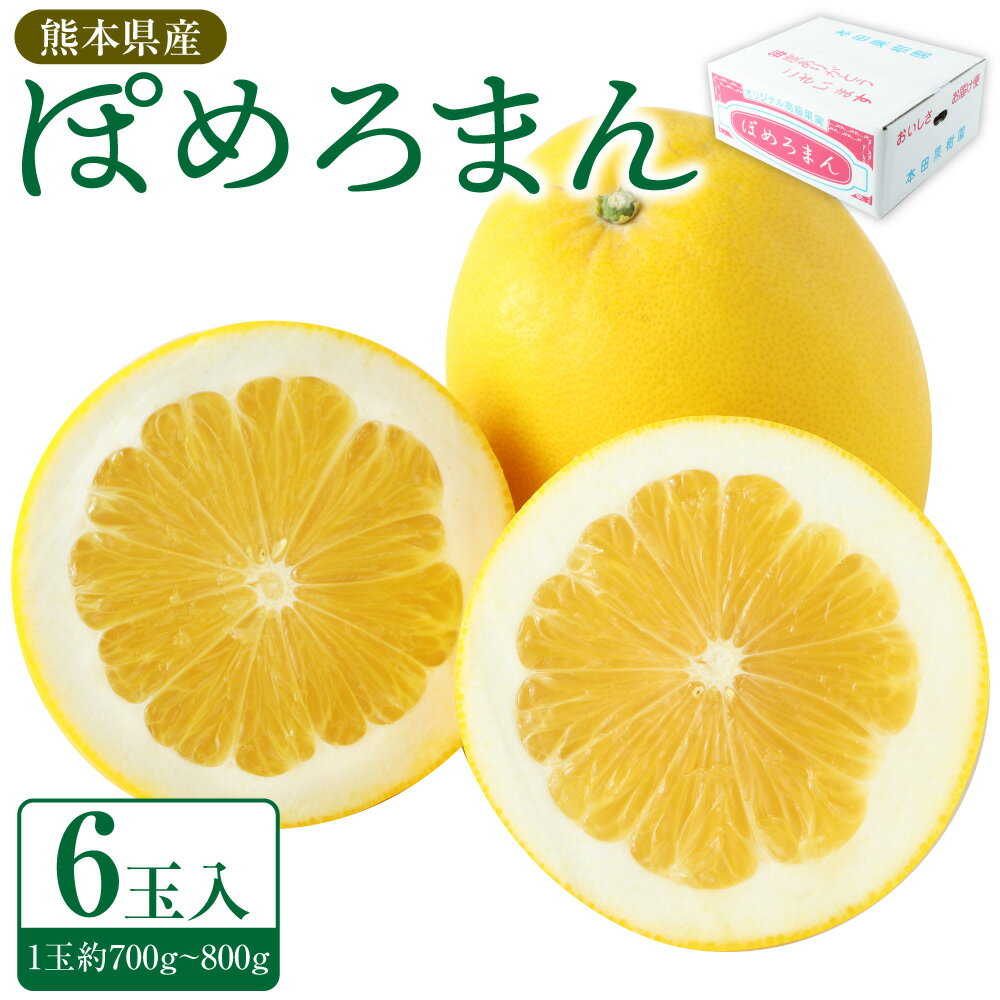 【ふるさと納税】ぽめろまん 大玉6個入り 1玉約700～800g 温室栽培 果物 フルーツ 柑橘 希少 文旦系の果物 みかん 玉名 国産 熊本県 送料無料 【2025年1月下旬発送開始】