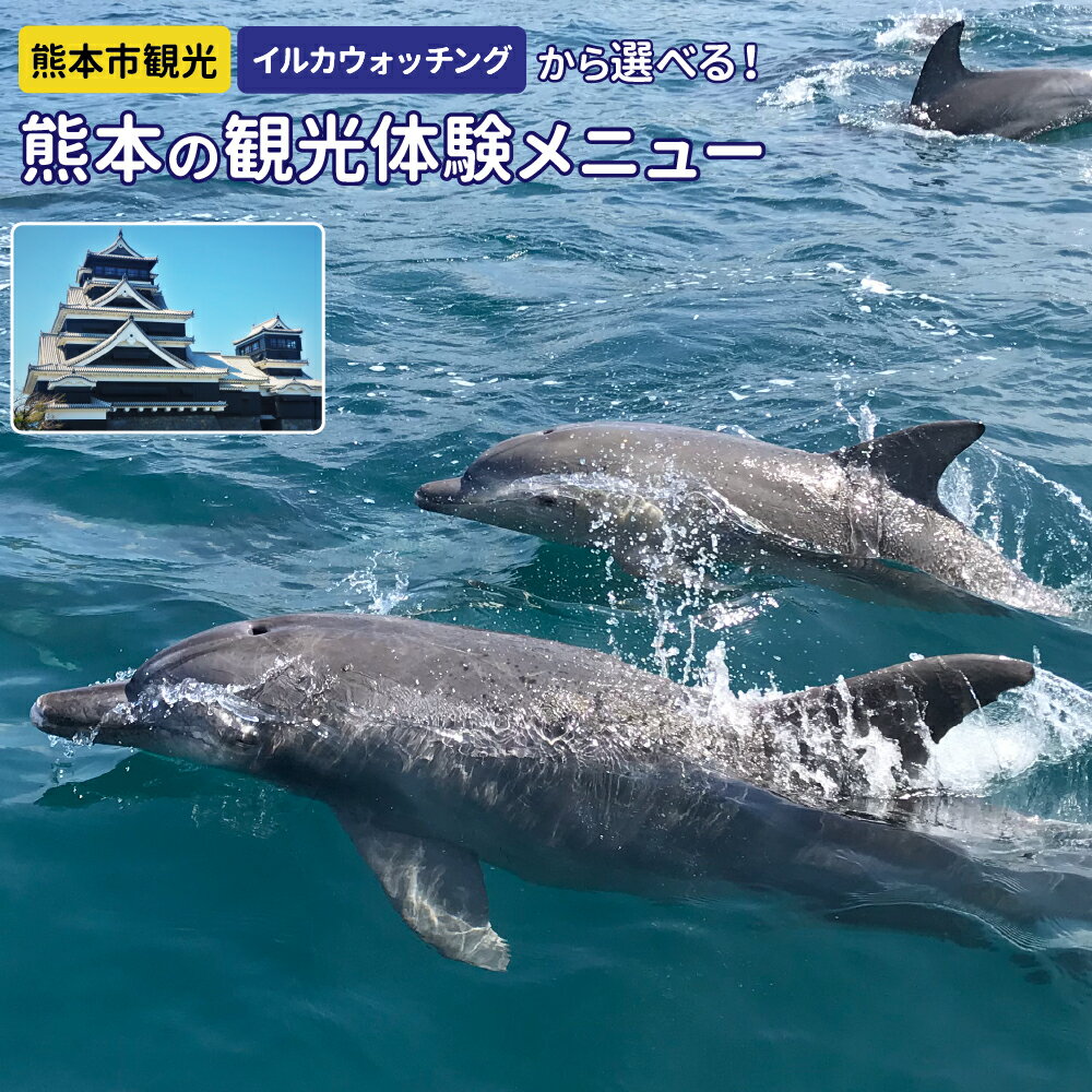 【ふるさと納税】選べる熊本の観光体験メニュー！ 熊本市エリア 天草エリア 熊本城 わくわく座 水前寺成趣園 ビュッフェ バイキング イルカウォッチング いるか 野生 船 海 旅行 体験チケット 熊本県 送料無料