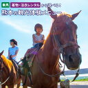 【ふるさと納税】選べる熊本の観光体験メニュー! 阿蘇エリア 県南エリア 乗馬体験 ホーストレッキング 小京都 人吉 街散策 浴衣 着物 レンタル 旅行 体験チケ...