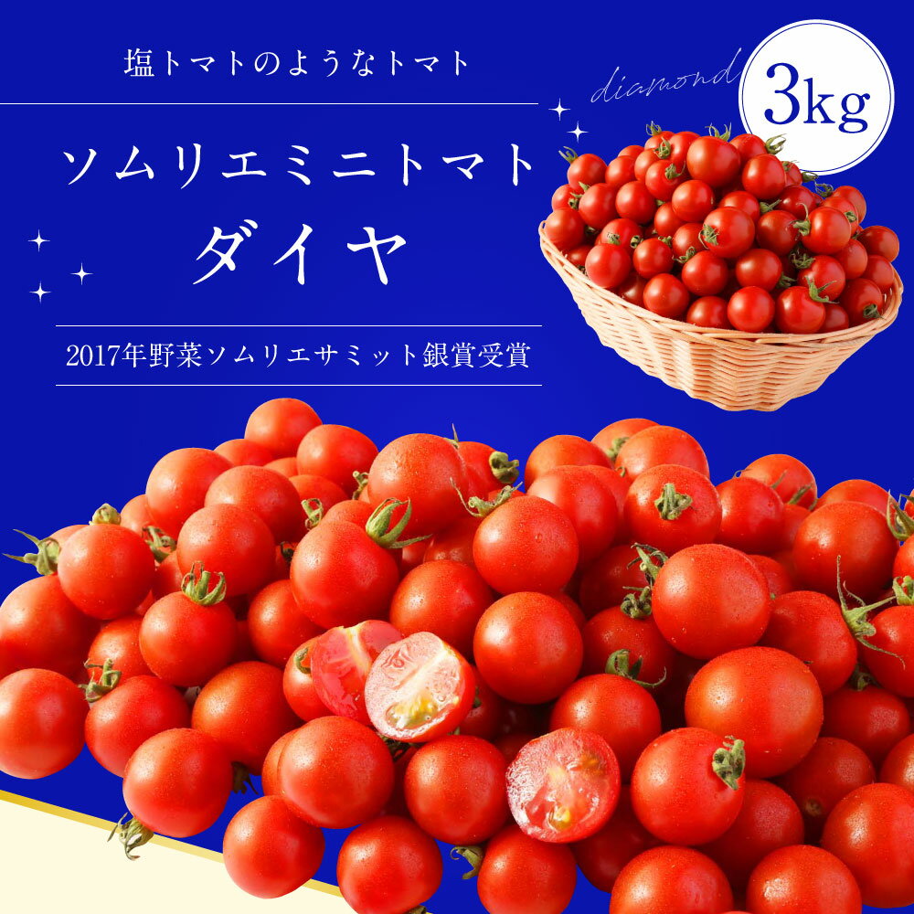 【ふるさと納税】【2023年12月上旬発送開始】熊本県 ソムリエミニトマト ダイヤ 3kg ソムリエ トマト とまと ミニトマト 野菜 旬 新鮮 塩 塩トマト 熊本県 冷蔵 送料無料