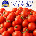 ダイヤ・・・干拓地で作っておりもともと塩トマトが出来ていたハウスで作ってみた所農家が絶賛する美味しいミニトマトが育ちました。 糖度は8度以上ですが酸味が少ないので甘さだけが感じられます。 熊本県でトマトを栽培して75年の農家で、林田昇さんは3代目となります。 会社名の由来はトマトの赤色と情熱のイメージでred、林田さんの名前が昇さんなのと益々成長する願いをこめてupで、レッドアップと名付けられました。 昇さんが長男だったこともあり、高校、大学と農業者を学び、結婚を期に就農されました。 始めは、お父様から習いながら農業をされていましたが、今ではお父様が昇さんに質問されるようになりました。 レッドアップは終戦後から75年の確かな技術と経験をもとに時代にあった栽培方法を取り入れ、生産技術と品質の向上をめざしています。 商品詳細 名称 【2023年12月上旬発送開始】ソムリエミニトマト ダイヤ 産地 熊本県産 内容量 3kg 賞味期限 7日 保存方法 お早めにお召し上がりください 注意事項 ●寄附受付は2024年5月31日までとなります。 ●発送前に検品を行いますが、輸送時の揺れや衝撃等により、やむを得ず多少の裂果や潰れが生じる可能性がございます。 生鮮食品の品質維持のためにも、年間を通して「冷蔵便」で発送いたします。 ●到着後はすぐに開封いただき、中身の状態を確認の上、冷蔵保存くださいますようお願いいたします。 万が一、著しい裂果や潰れ、腐敗等の不具合があった場合は、返礼品の状態を撮影の上、画像データをメールに添付の上、サポートセンターまでお問い合わせください。 但し、お受取人様のご都合等により、受け取りまでに一定日数が経過した場合や、保存温度帯に相違が生じていた場合にはご相談に応じかねますので、予めご了承ください。 ●本商品はエコファーマー栽培でありますが、一部消毒の臭いなどが残っている可能性がございます。必ず洗ってからお召し上がりください。 ●独自の栽培方法により、トマトによっては酸味を感じたり甘味を感じたりする場合がございます。予めご了承ください。 ●天候等の影響で発送期間が前後する場合がございます。 【地場産品に該当する理由】 区域内で生産されたもの（告示第5条第1号に該当） 工夫やこだわり うちのトマトのおいしいヒミツは、苗を植える前に栄養たっぷりにした土壌をガチガチにローラーで固めます。 マルチングを被せ穴を1個1個ドリルでドドドッと開けて苗を植えることで、苗が水を求め硬い土を打ち砕きながら張り巡ります。 強い根を作る事でより多くの栄養を取り入れる事が出来るようになりトマトのおいしさにつながります。 ハウスの横の用水路には沢山のシジミ貝が育ちます。 調べてみたら、塩分を含んだ綺麗な水でシジミ貝は育つそうです。 そんな水で育ったトマトは、間違いなく美味！ 受賞歴 ソムリエトマトは、2017年野菜ソムリエサミットで2回連続銀賞を受賞しました。 2018年農林水産省のフード・アクション・ニッポンアワードで100選に入賞しました。 熊本県はトマトの生産日本一!! 熊本県は、きれいな湧き水がたくさんあり水道水もごくごくと飲めるほどおいしい水です。 また有明海に面しており、ミネラルをたっぷり含んだ土と温暖な気候がトマトの成長に最も適している場所なので熊本県は日本一の生産地となっています。 エコファーマー取得だから安心!! エコファーマーとは、化学肥料を30%以上減らし化学合成、農薬も減らす計画に基づいて作られます。 県知事の認定を受けた計画に基づき、持続性の高い農業に取り組みます。 ふるさと納税 送料無料 お買い物マラソン 楽天スーパーSALE スーパーセール 買いまわり ポイント消化 ふるさと納税おすすめ 楽天 楽天ふるさと納税 おすすめ返礼品 ・ふるさと納税よくある質問はこちら ・寄付申込みのキャンセル、返礼品の変更・返品はできません。あらかじめご了承ください。寄附金の使い道について 「ふるさと納税」寄付金は、下記の事業を推進する資金として活用してまいります。 寄付を希望される皆さまの想いでお選びください。 (1)ふるさとくまもとづくり応援分 〈寄附金の使い道一例〉 「教育・文化の振興」 「保健・医療・福祉の充実」 「地域活性化」 「産業振興」 「安全で安心な県民生活の確保」 「環境の保全・再生」 「熊本地震支援」 「令和2年7月豪雨支援」 (2)くまモン応援分 (3)「夢教育」応援分 (4)NPO等支援分 (5)こども図書館応援分 受領申請書及びワンストップ特例申請書について 入金確認後、注文内容確認画面の【注文者情報】に記載の住所にお送りいたします。 発送の時期は、寄付確認後1～2カ月以内を目途に、お礼の特産品とは別にお送りいたします。