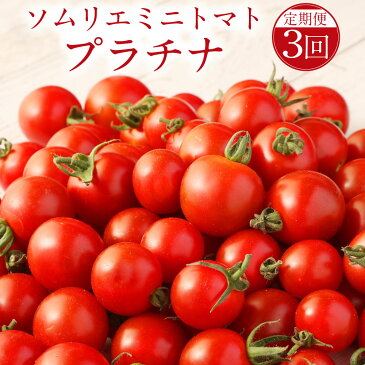 【ふるさと納税】【年3回定期便/2022年12月下旬発送開始】【希少な高濃度フルーツトマト】 熊本県 ソムリエミニトマト プラチナ 3kg×3回 合計9kg ソムリエ トマト とまと ミニトマト 野菜 旬 新鮮 フルーツ フルーツトマト 希少 高濃度 定期便 熊本県 送料無料