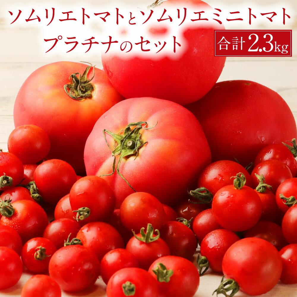 【ふるさと納税】【食べ比べ】熊本県 ソムリエトマト1.3kgとソムリエミニトマト プラチナ1kgのセット 合計2.3kg ソムリエ トマト とまと 野菜 旬 新...