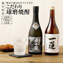 【ふるさと納税】熊本の銘店がオススメする熊本県産酒こだわり球磨焼酎(米) 720ml×2本 2種 セット 焼酎 米焼酎 酒 お酒 一連托生 最古蔵 地酒 アルコ...