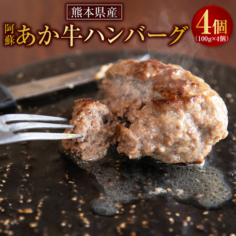 阿蘇 あか牛 ハンバーグ 4個 100g×4個 牛肉 肉 お肉 赤牛 あかうし 和牛 惣菜 グルメ おかず 国産 冷凍 九州 熊本県 送料無料