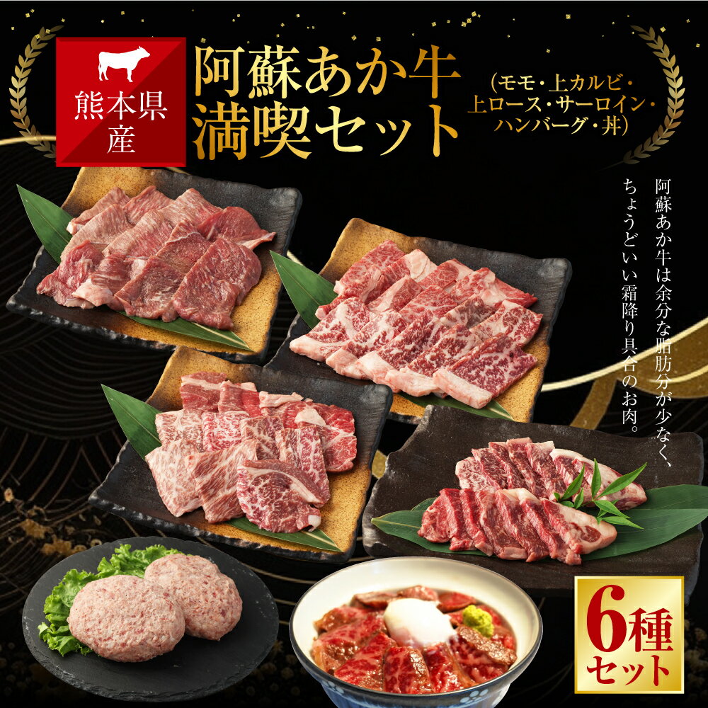 【ふるさと納税】阿蘇あか牛 満喫 セット モモ 上カルビ 上ロース サーロイン ハンバーグ 丼 6種 肉 お肉 牛肉 阿蘇 あか牛 くまもとあか牛 冷凍 あか牛丼 国産 国産牛 九州 熊本県 送料無料