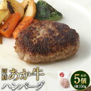 【ふるさと納税】阿蘇あか牛ハンバーグ 150g×5個 合計750g 肉 お肉 牛肉 惣菜 ハンバーグ おかず 阿蘇 あか牛 和牛 和牛肉 お取り寄せ 国産牛 冷凍 九州 熊本県 送料無料