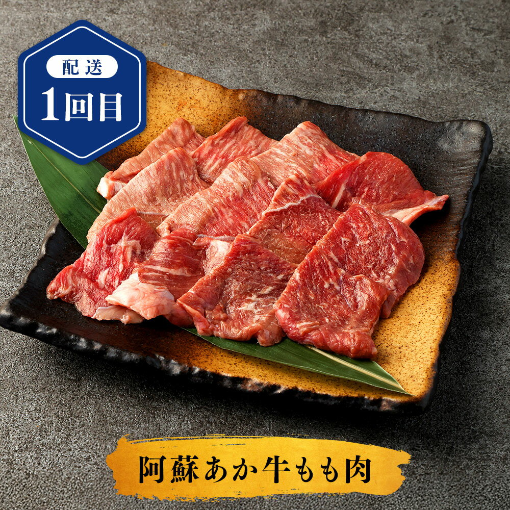 【ふるさと納税】【年6回定期便】阿蘇あか牛満喫定期便 肉 お肉 牛肉 あか牛 モモ カルビ 上ロース サーロイン ハンバーグ ローストビーフ 阿蘇あか牛丼 定期便 定期配送 冷凍 九州 熊本県 送料無料