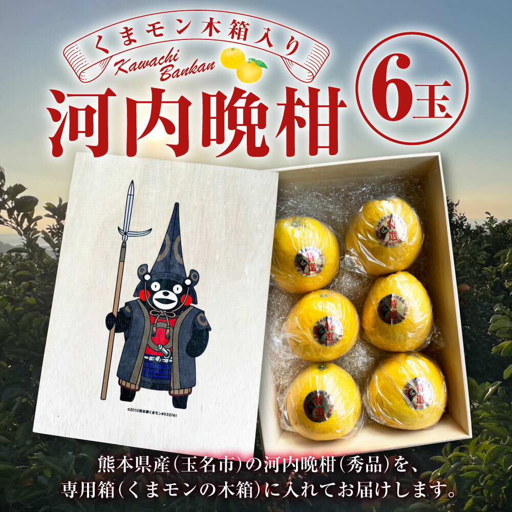 【ふるさと納税】くまモン 木箱入り 河内晩柑 6玉 化粧箱 木箱 フルーツ 果物 かわちばんかん 国産 常温 九州 熊本県 送料無料 【2025年4月上旬発送開始】
