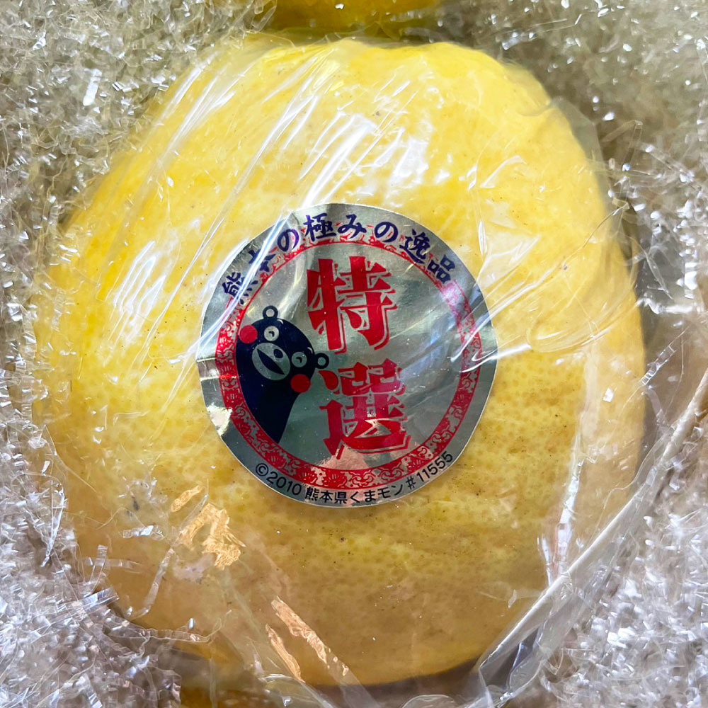 【ふるさと納税】くまモン 木箱入り 河内晩柑 6玉 化粧箱 木箱 フルーツ 果物 かわちばんかん 国産 常温 九州 熊本県 送料無料 【2025年4月上旬発送開始】