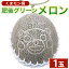 【ふるさと納税】【2024年6月下旬発送開始】くまモン柄 メロン 1玉 肥後グリーンメロン くまモン フルーツ 果物 くだもの 果実 キャラクター ゆるキャラ 旬 九州 熊本県 送料無料