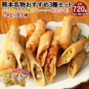 【ふるさと納税】熊本名物おすすめセット! からしれんこん棒 (プレーン・明太子味) いきなり団子棒 3種類 セット 計720g (30g×4個)×各2箱 熊本名...
