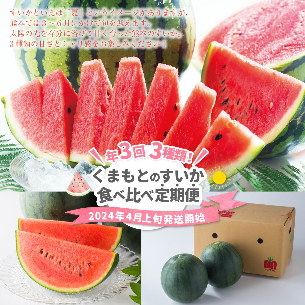 【ふるさと納税】 【年3回定期便】 【2024年4月上旬発送開始】 くまもとのすいか食べ比べ定期便 熊本県産 すいか スイカ 食べ比べ 大玉すいか 小玉すいか 黒小玉すいか ひとりじめ ピノガール 果物 フルーツ 旬 常温 九州 熊本県 送料無料