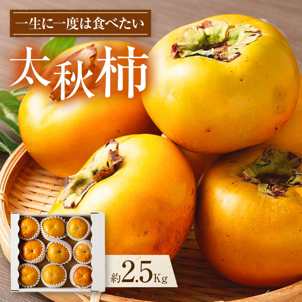 【ふるさと納税】熊本県産 プレミアム 太秋柿 約2.5kg 約8~12玉 たいしゅうがき 柿 カキ かき 果物 くだもの フルーツ 常温 九州 熊本県 送料無料 【2025年10月上旬発送開始】