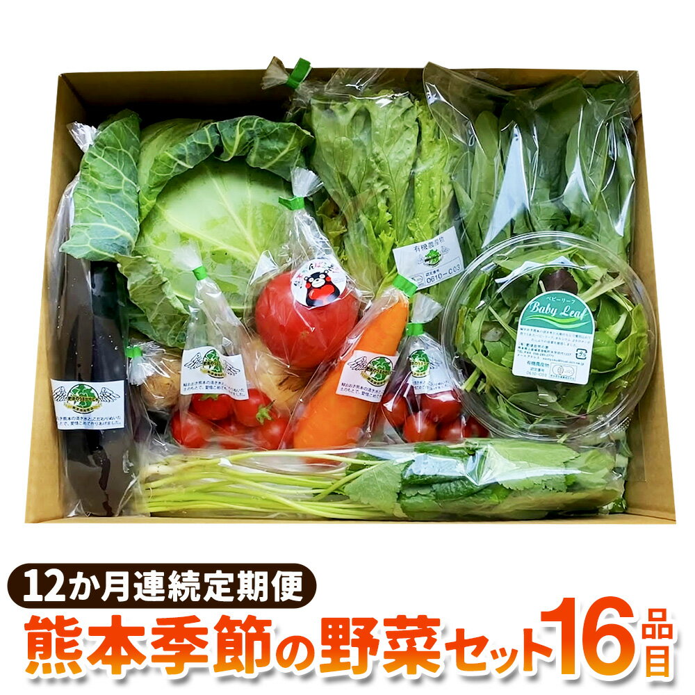 【ふるさと納税】【12か月連続定期便】熊本季節の野菜セット 16品目 定期便 全12回 定期配送 野菜 セット やさい 新鮮 旬 詰め合わせ 詰合せ 冷蔵 九州 熊本県 送料無料