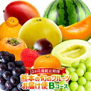 【ふるさと納税】【12か月連続定期便】熊本の旬の フルーツ お届け便(Bコース) 定期便 全12回 定期配送 フルーツ 果物 くだもの 定期 旬 冷蔵 九州 熊...