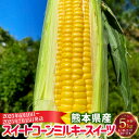 【ふるさと納税】熊本県産 スイートコーン ミルキースイーツ 約5kg とうもろこし トウモロコシ コーン 生 甘い 野菜 お取り寄せ 冷蔵 九州 熊本県 送料無...