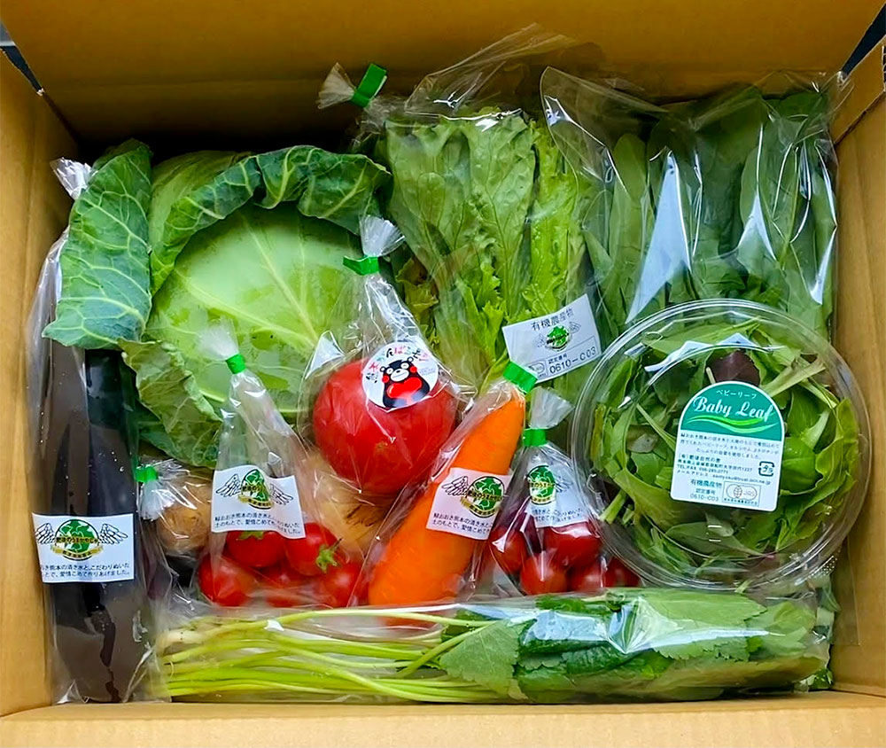【ふるさと納税】【6か月連続定期便】季節の果物と野菜セット 