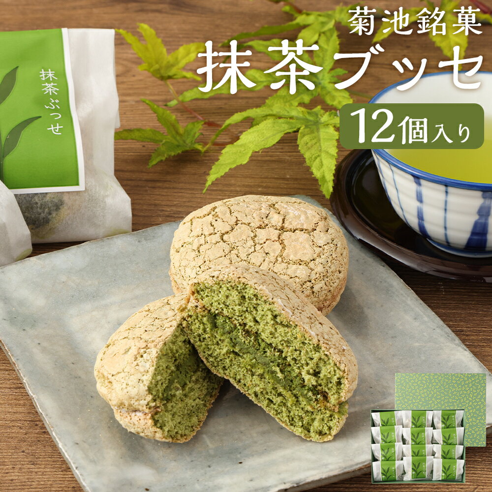 楽天熊本県【ふるさと納税】菊池銘菓 抹茶ブッセ 熊本産 1箱（12個入り） お菓子 和菓子 銘菓 生菓子 菓子折り お茶菓子 菓子 抹茶 ブッセ 抹茶クリーム サンド 化粧箱 常温 九州 熊本県 送料無料