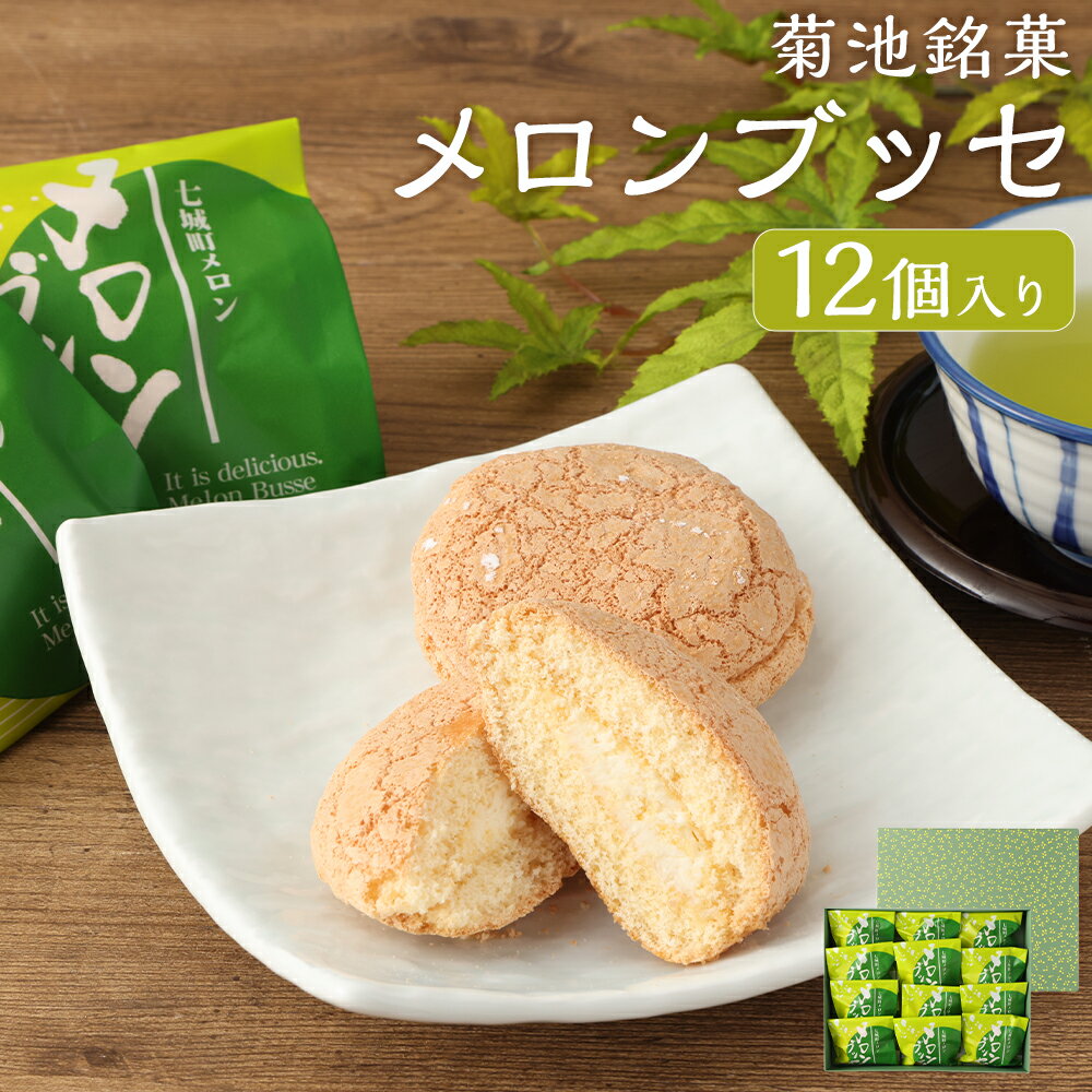 楽天熊本県【ふるさと納税】菊池銘菓 メロンブッセ 九州産 1箱（12個入り） 菓子 お菓子 和菓子 洋菓子 銘菓 生菓子 菓子折り お茶菓子 メロン メロンクリーム クリーム ブッセ 化粧箱 常温 九州 熊本県 送料無料