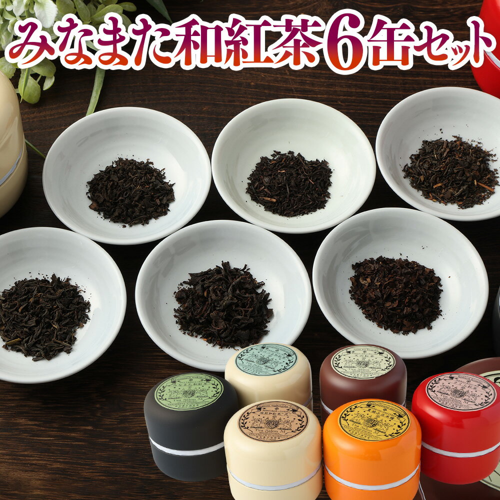 みなまた和紅茶 6缶セット ティーバッグ 6種類 セット 天の紅茶 紅茶ティーバッグ ゆのつる和紅茶 夏摘み在来種 みなまた和紅茶 ～ten～天 和紅茶 紅茶 マカロン缶 ギフト 贈り物 プレゼント 熊本県産 九州 国産 熊本県 常温 送料無料