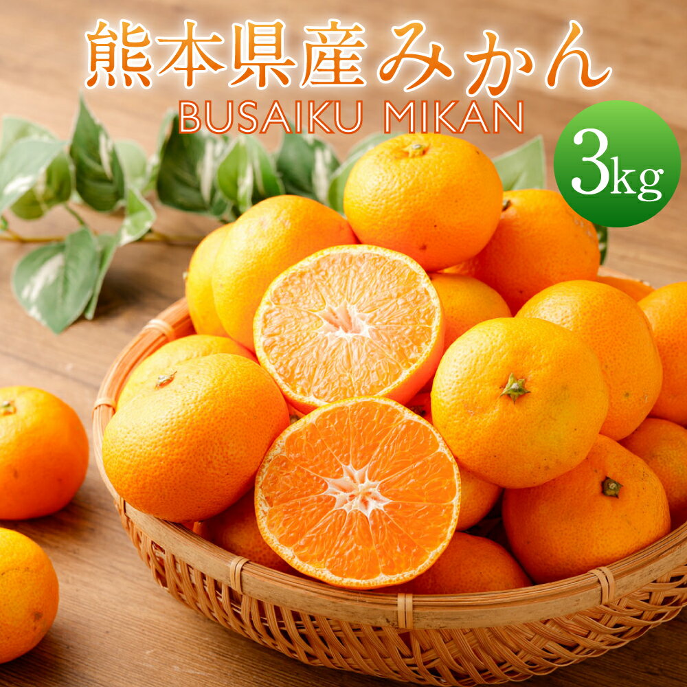 【ふるさと納税】熊本県産 みかん BUSAIKU MIKAN 約3kg 温州みかん ミカン 密柑 柑橘 フルーツ くだもの 果物 果実 常温 九州 熊本県 送料無料 【2025年10月上旬発送開始】