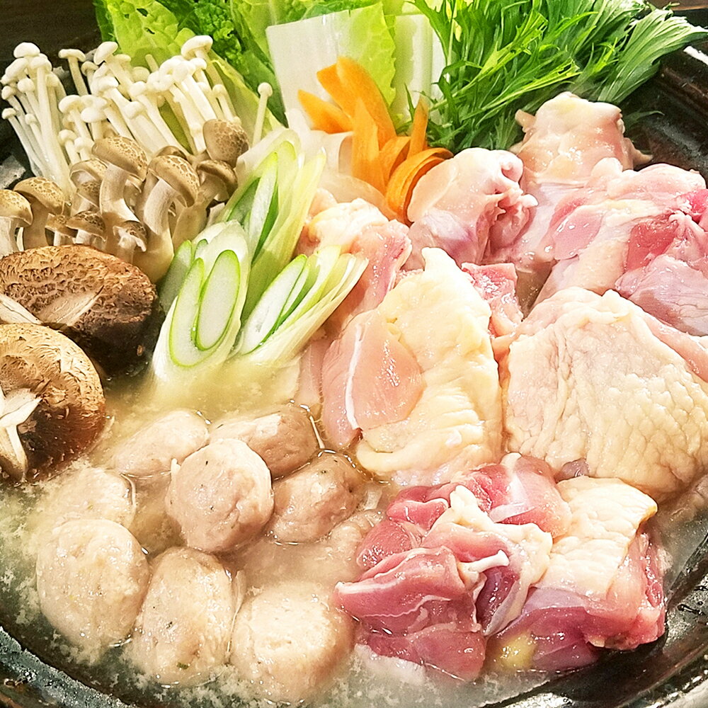 天草大王を使った水炊きセット 詰め合わせ 水炊き 水炊 セット 天草大王 肉 お肉 鶏肉 ブツきり カット肉 つみれ団子 鍋スープ 鍋 冷凍 九州 熊本県 送料無料