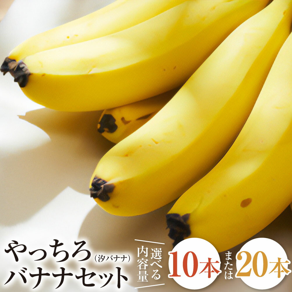 やっちろバナナ(汐バナナ) 10本・20本セット バナナ ばなな 国産 栽培期間中農薬不使用 グロスミッシェル種 皮まで食べられる 高糖度 果物 フルーツ おやつ 朝食 贈り物 ギフト 九州 熊本県 送料無料 [2025年7月下旬発送開始]