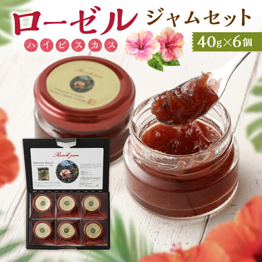 【ふるさと納税】ローゼル(ハイビスカス)ジャムセット 40g×6個 合計240g ローゼルジャム ジャム ハイビスカス セット 九州 熊本県 送料無料 【ふるさと納税】ローゼル(ハイビスカス)ジャムセット 40g×6個 合計240g ローゼルジャム ジャム ハイビスカス セット 九州 熊本県 送料無料