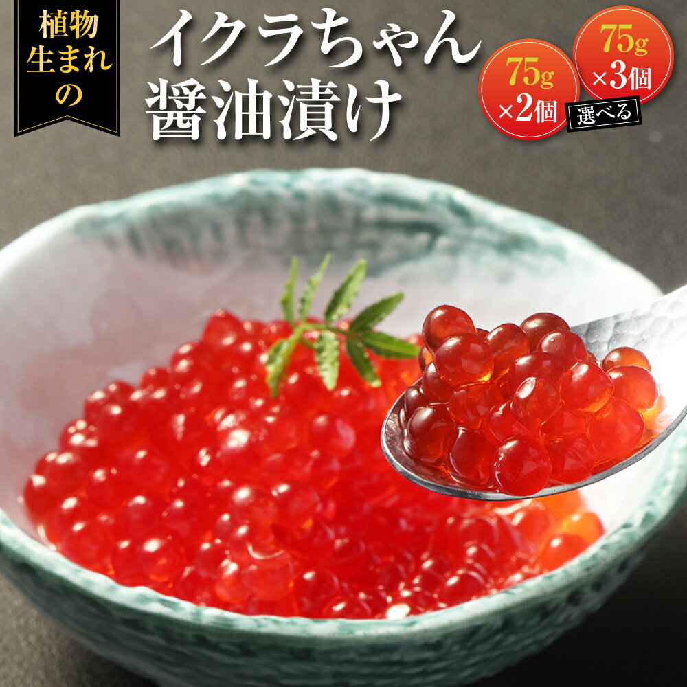 【ふるさと納税】イクラちゃん 醤油漬け 75g×2個 または 3個 選べる内容量 プラントベースフード コレステロールゼロ プリン体ゼロ オメガ3脂肪酸 常温保存可 動物性原料不使用 九州 熊本県 送料無料