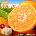【ふるさと納税】熊本県産持丸ミカン 約3キロ みかん 蜜柑 柑橘 フルーツ くだもの 果物 果実 温州みかん 【2023年野菜ソムリエ協会主催のミカン選手権金賞】 九州 熊本県 送料無料 【2025年11月下旬発送開始】