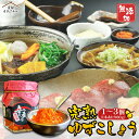 【ふるさと納税】ゆずこしょう 60g または 60g×3個 選べる内容量 ゆず胡椒 柚子胡椒 調味料 柚子 九州 熊本県 送料無料