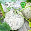 【ふるさと納税】まるで果物の王様!贅沢メロン 2玉セット 熊本県産 フルーツ メロン 贈答 ギフト 果物 熊本産 九州 熊本県 送料無料 【2026年4月下旬発...